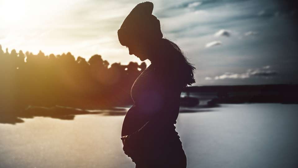Εγκυμοσύνη και Τοξικό Περιβάλλον