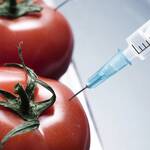 Γενετικά Τροποποιημένα Τρόφιμα Μύθοι και Αλήθειες