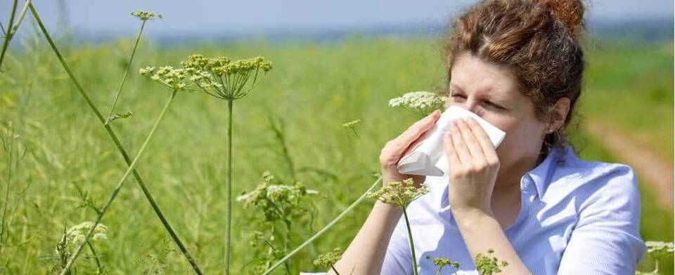 Η αλλεργική ρινίτιδα πολλές φορές συνοδεύεται από επιπεφυκίτιδα, δηλαδή ενοχλήσεις στα μάτια με τσούξιμο, φαγούρα, ερυθρότητα, υγρά μάτια και αίσθημα ξένου σώματος.