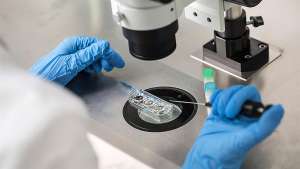 Υποβοηθούμενη Αναπαραγωγή