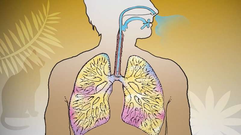 Το Άσθμα και οι Μορφές του