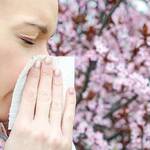 Οι εποχιακές αλλεργίες μπορεί να σας προκαλέσουν δυσφορία στην καθημερινότητά σας.