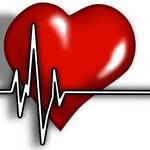 Η καρδιά είναι το όργανο που λειτουργεί περισσότερο απ’όλα στο ανθρώπινο σώμα.