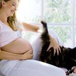 Όταν μία γυναίκα μείνει έγκυος, συχνά δέχεται πιέσεις από το οικογενειακό περιβάλλον είτε από κάποιους λιγότερο ενημερωμένους γυναικολόγους να ξεφορτωθεί τα αγαπημένα της κατοικίδια.1