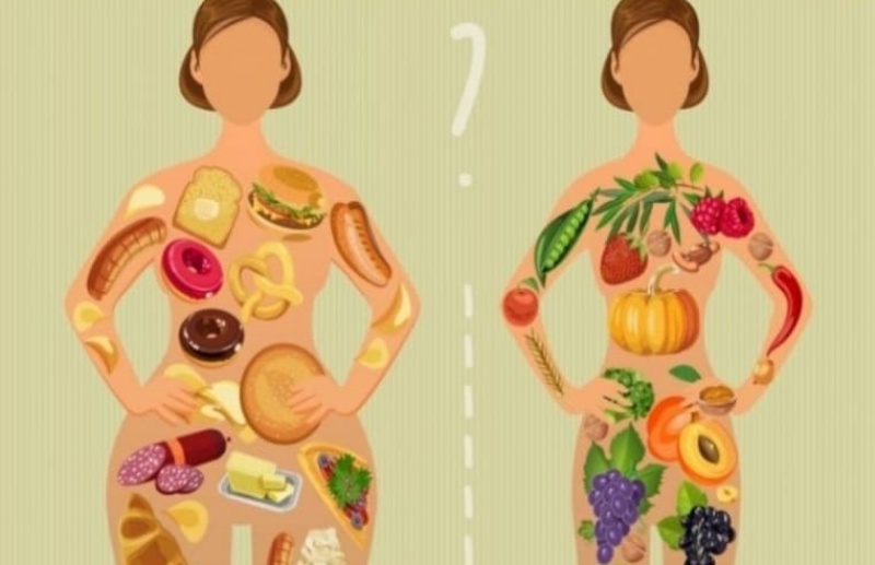 Πρωτεϊνική δίαιτα και παραλλαγές