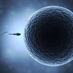 Τα Ωάρια της Γυναίκας Έχουν Προτιμήσεις Ποιο Ανδρικό Σπέρμα θα τα Γονιμοποιήσει.