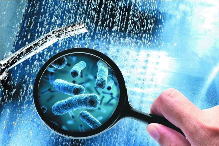 Η Νόσος των Λεγεωναρίων και η Κατάλληλη Πρόληψη