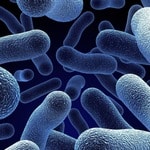 Δείκτης Πρόγνωσης για Πολλές Ασθένειες τα Μικρόβια του Εντέρου