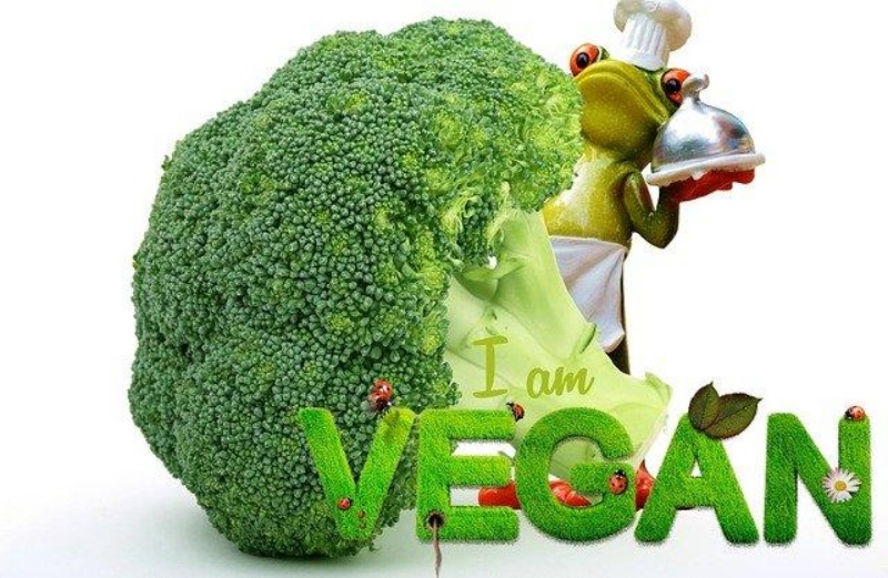 Οι πιο δημοφιλείς vegan τροφές