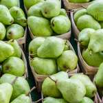 Το αχλάδι, όπως και το πολύ δημοφιλές μήλο είναι δυο φρούτα που καταναλώνονται ιδιαίτερα τους φθινοπωρινούς και τους χειμερινούς μήνες.