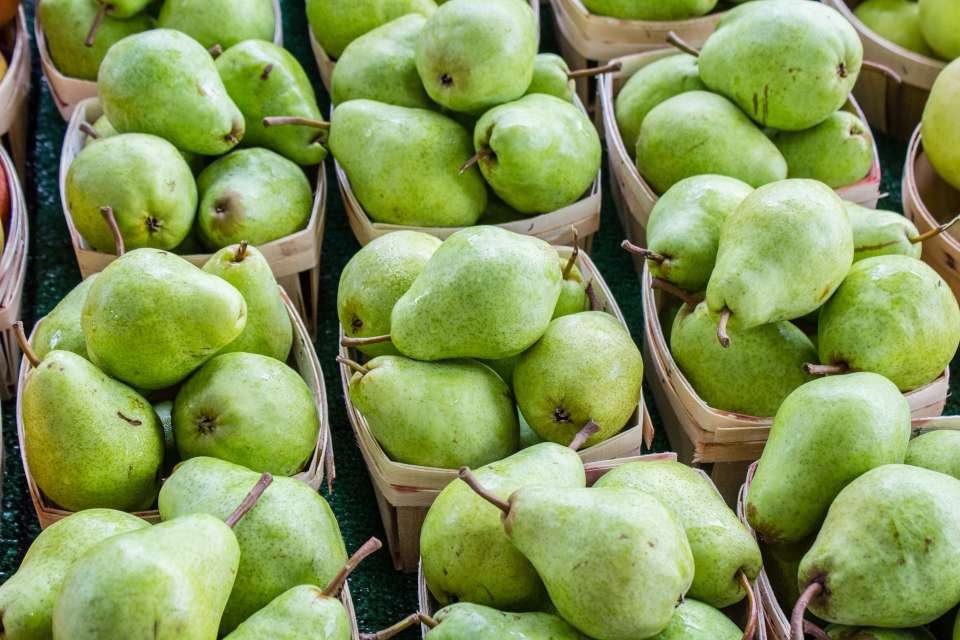 Το αχλάδι, όπως και το πολύ δημοφιλές μήλο είναι δυο φρούτα που καταναλώνονται ιδιαίτερα τους φθινοπωρινούς και τους χειμερινούς μήνες.