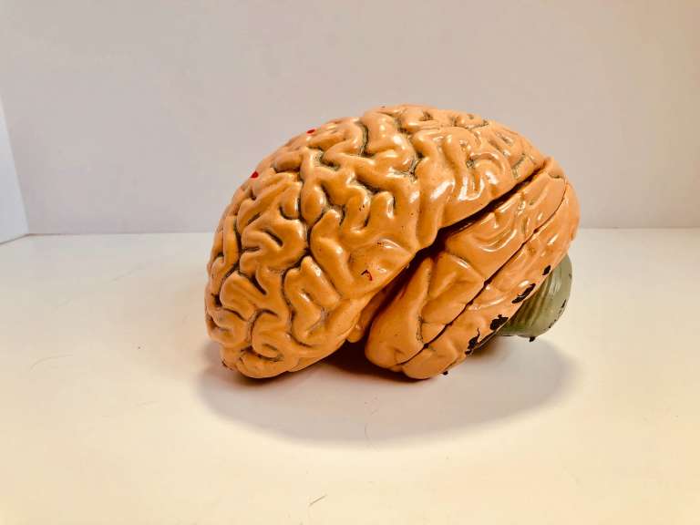 Ένα Ελπιδοφόρο Φάρμακο από Φύκια για τη Νόσο Alzheimer που Βελτιώνει κατά 125% τη Νόηση Δοκιμάζεται σε 3η Φάση Κλινικών Δοκιμών