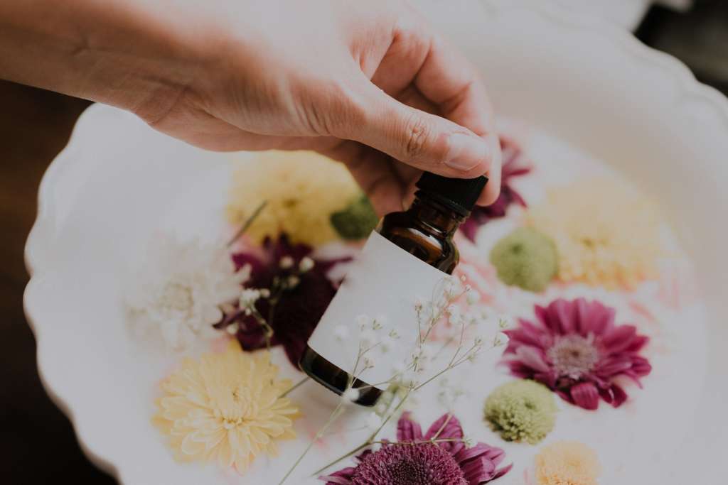 Λάδι Jojoba – Τα Οφέλη στην Επιδερμίδα