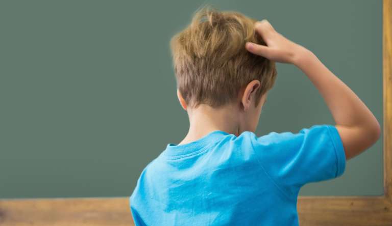 Ψείρες και Κόνιδες – Πρόληψη και Ολική Εξόντωση