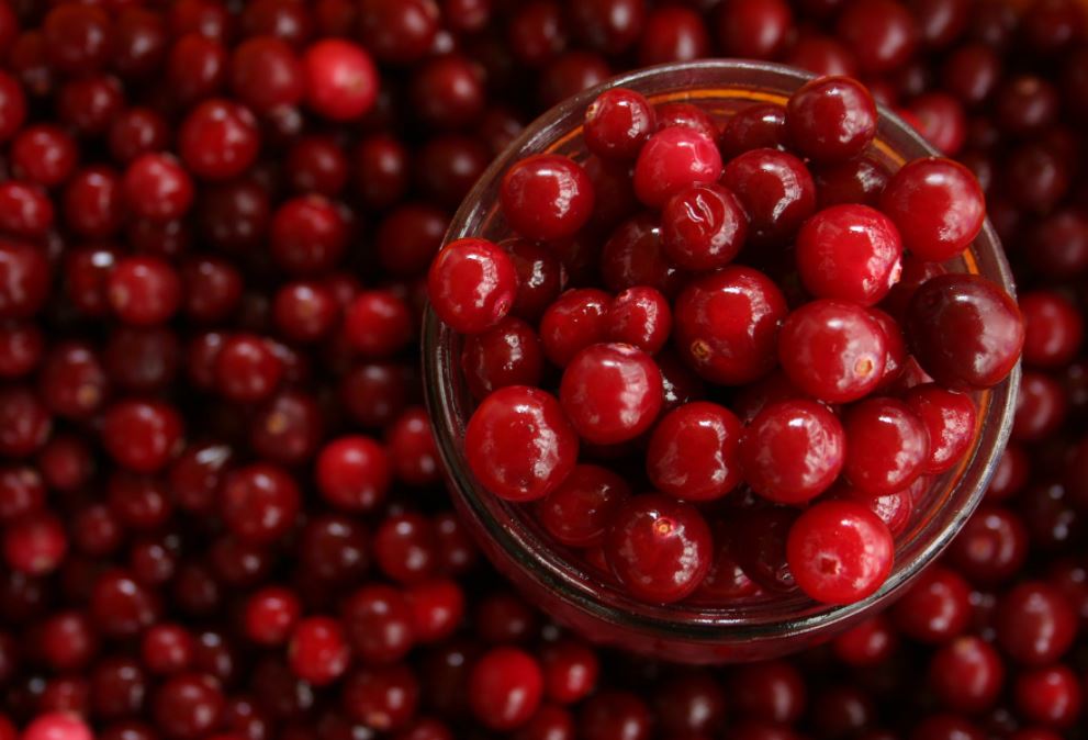 Χυμός Cranberry και Ουρολοίμωξη