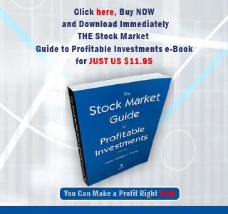 The Stock Market Guide e-book