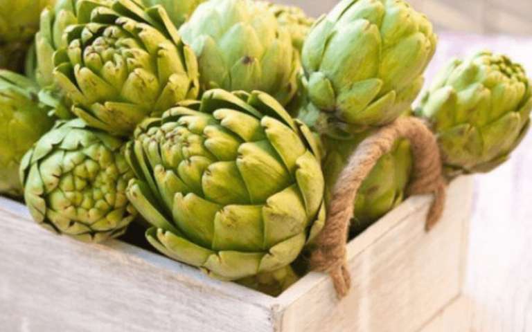 Πόσα Οφέλη Έχει η Αγκινάρα για την Υγεία;