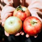 Τα Μήλα Αυξάνουν τα Τριγλυκερίδια;