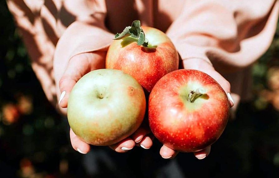 Τα Μήλα Αυξάνουν τα Τριγλυκερίδια;