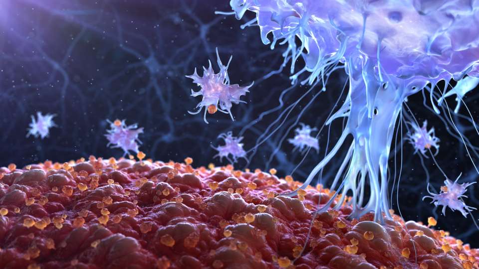 Τα Καρκινικά Κύτταρα Διασπείρονται Κατά τον Βραδινό Ύπνο