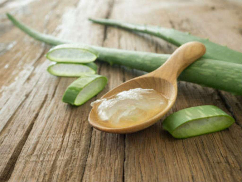Τα Οφέλη της Aloe Vera για Υγιές Δέρμα