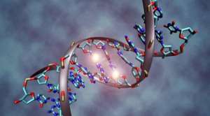 Πώς το Μιτοχονδριακό DNA Αλλάζει το Ανθρώπινο Γονιδίωμα;