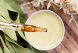 βάλσαμο λεμονιού