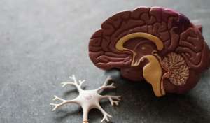 Αυξημένος Κατά 2,5 Φορές ο Κίνδυνος Άνοιας για τους Ανθρώπους με Σχιζοφρένεια