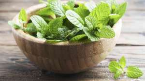Οφέλη που Έχει η Μέντα για την Υγεία