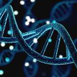 Πώς το Μιτοχονδριακό DNA Αλλάζει το Ανθρώπινο Γονιδίωμα;