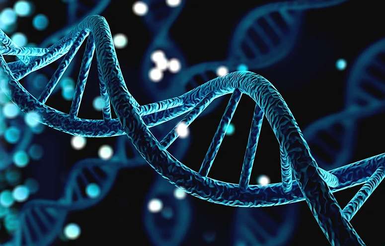 Πώς το Μιτοχονδριακό DNA Αλλάζει το Ανθρώπινο Γονιδίωμα;