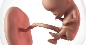 Συνδυάζοντας επαγγελματική και προσωπική ζωή πολλές γυναίκες σήμερα, επιλέγουν να αποκτήσουν παιδί σε μεγαλύτερη ηλικία με ρίσκο σύλληψης και επιπλοκών