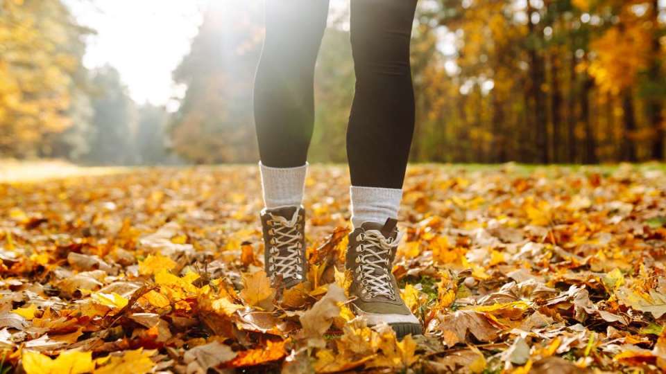 καρδιακές παθήσεις