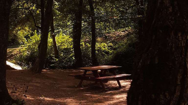 Πώς 15 λεπτά στη φύση μπορούν να αλλάξουν τη διάθεσή σας